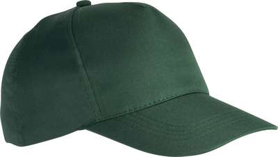 POLYESTER CAP - 5 PANLES