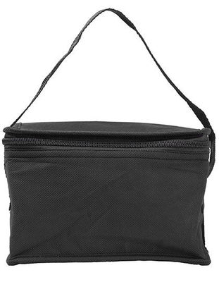 Non-woven small cooler bag
