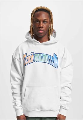 Ecko Unltd. Gradient Hoody grey M